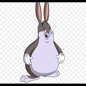 Meet your Posher, Noah